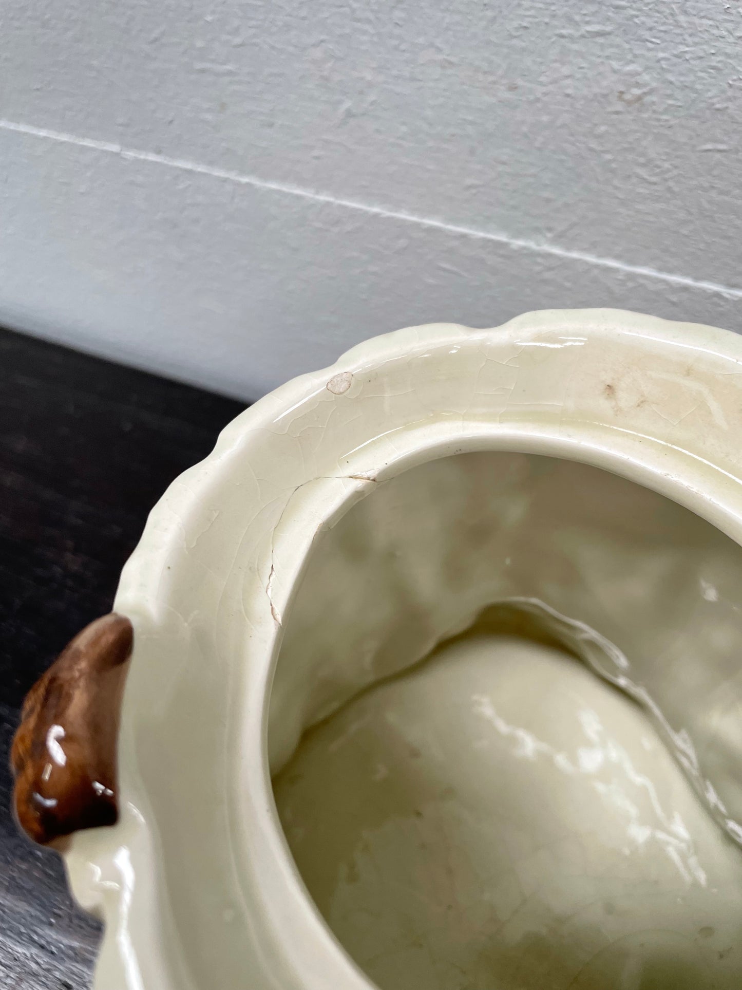 Delightful China Racoon Cookie Jar