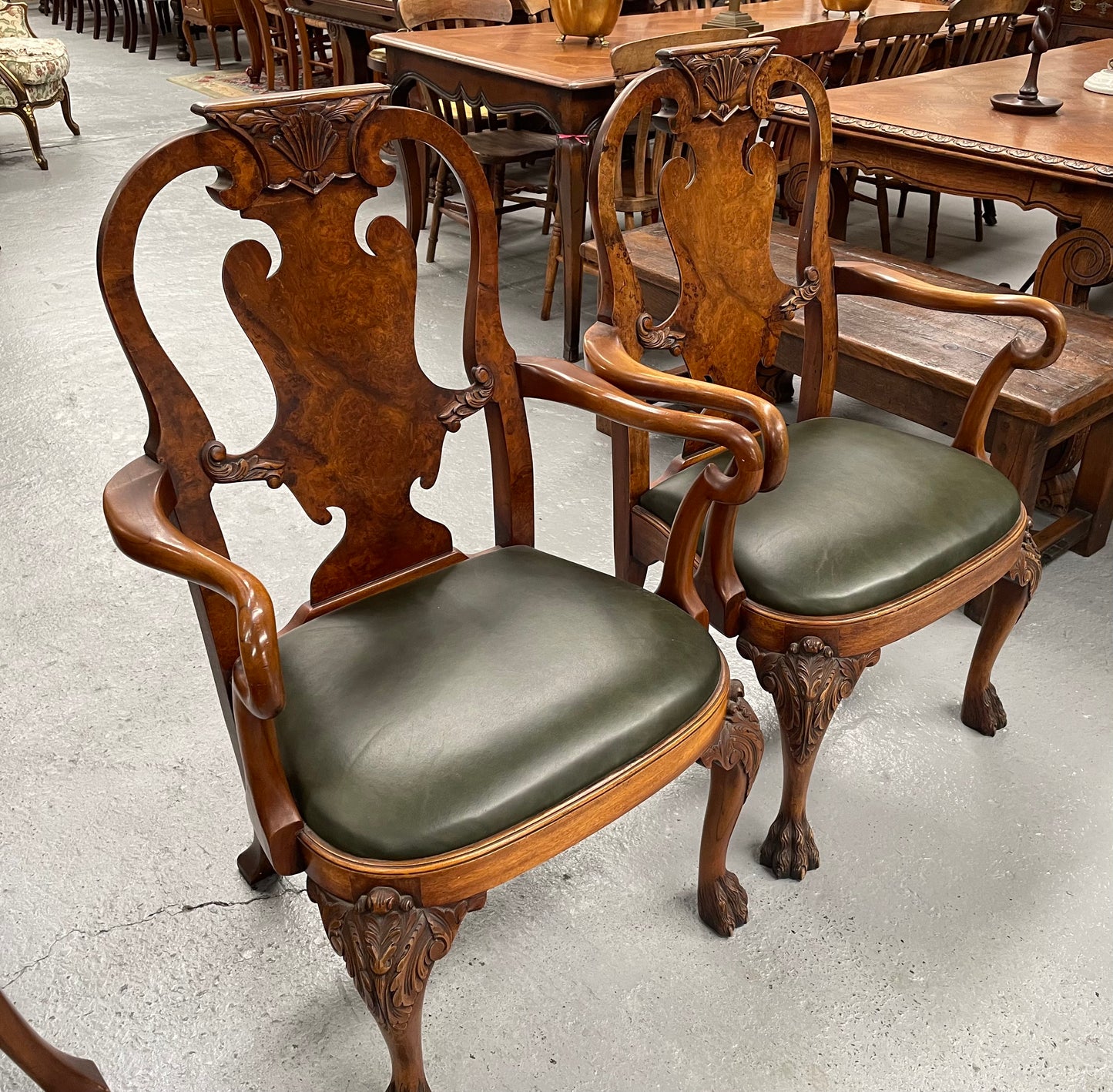 Sensational set of 8 Georgian Style Dining Chairs