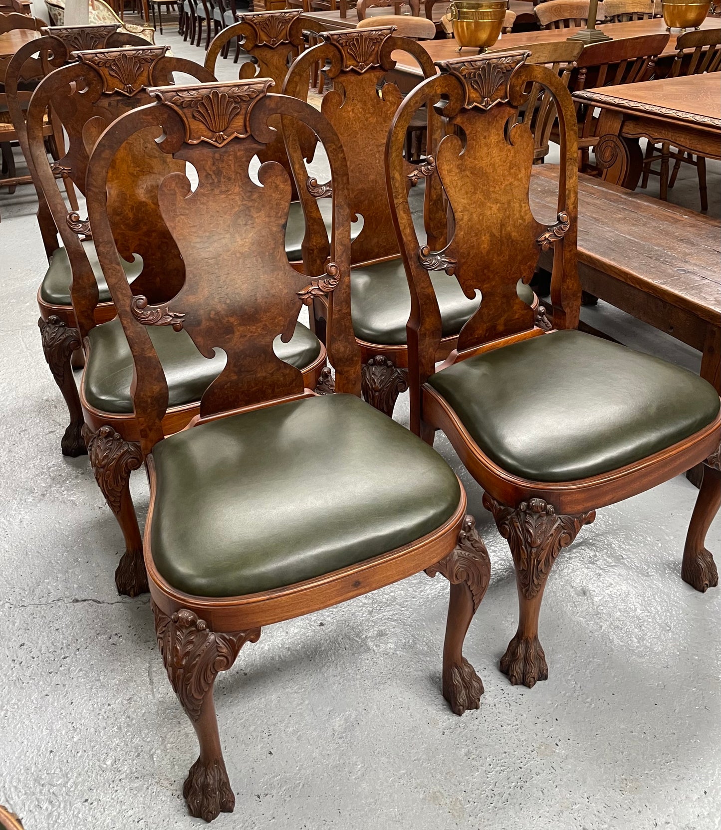Sensational set of 8 Georgian Style Dining Chairs