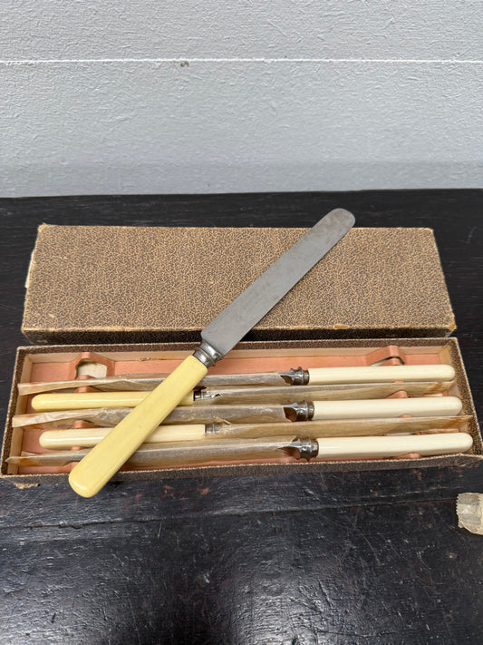 Antique Set 6 Bone Handled Knives In Original Box