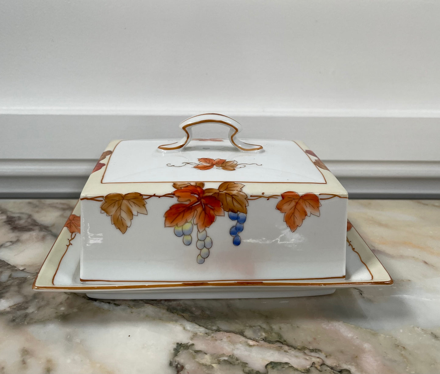 Noritake Hand Painted Cheese/Butter Dish