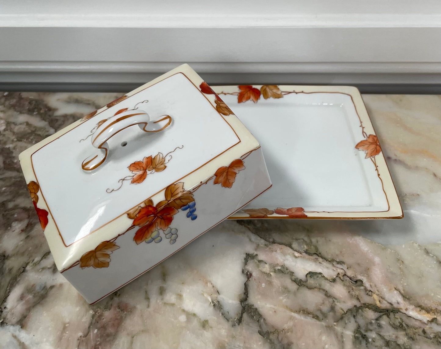 Noritake Hand Painted Cheese/Butter Dish
