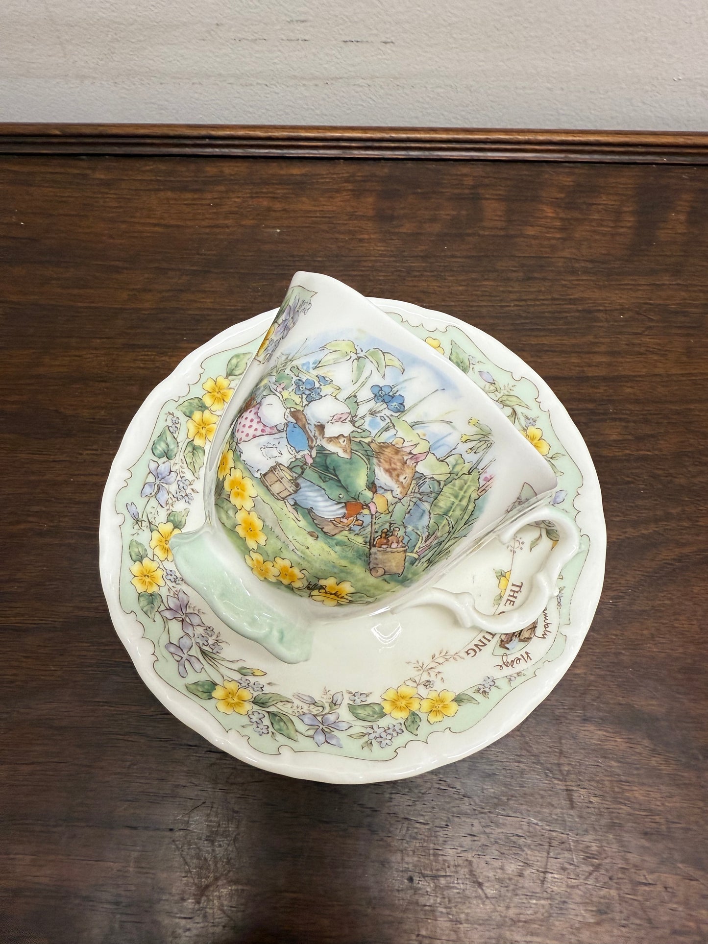Brambly Hedge Tea Cup & Saucer 'The Outing'
