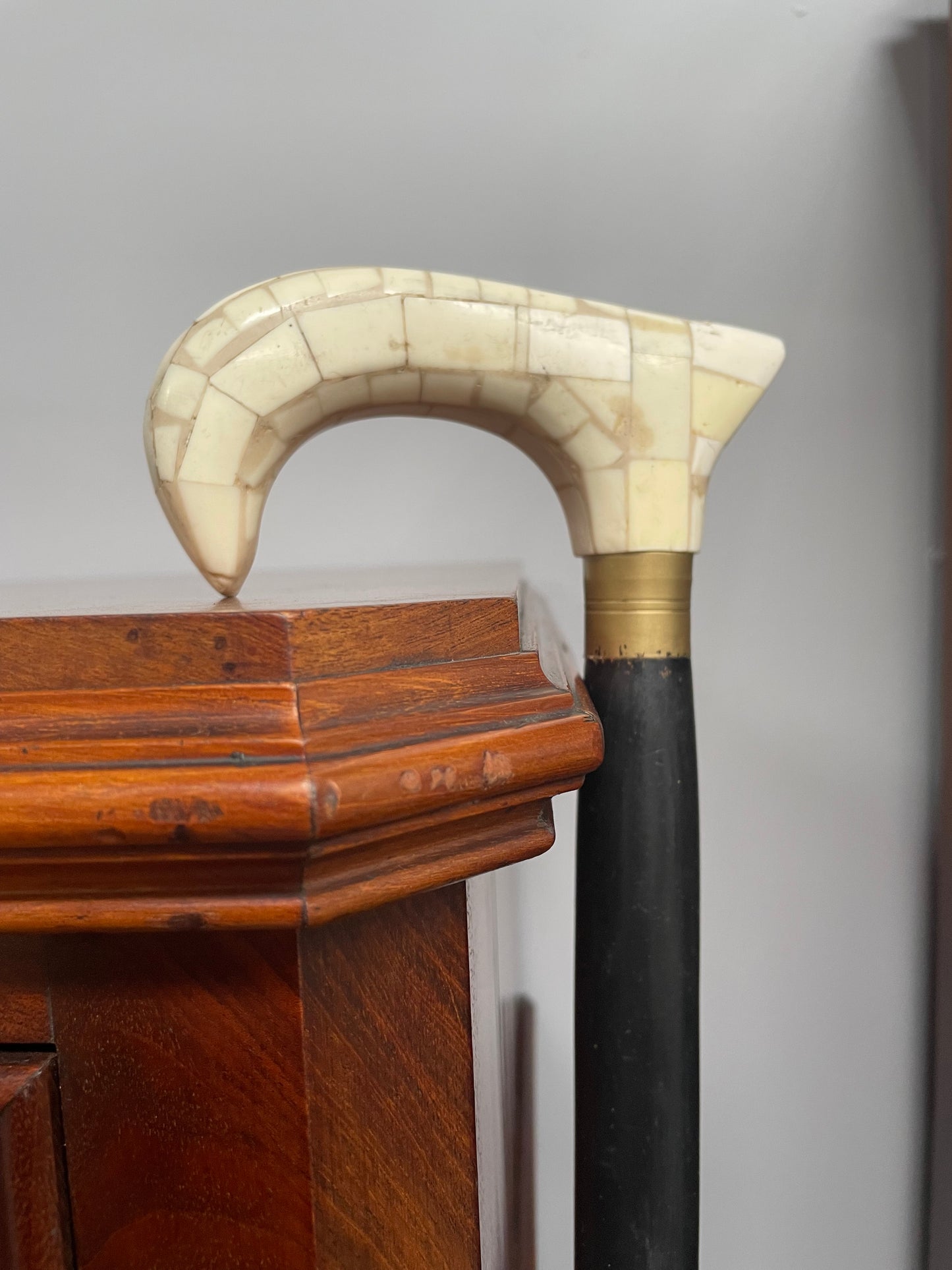 Vintage Walking Stick With Bone Handle & Ebony Wood