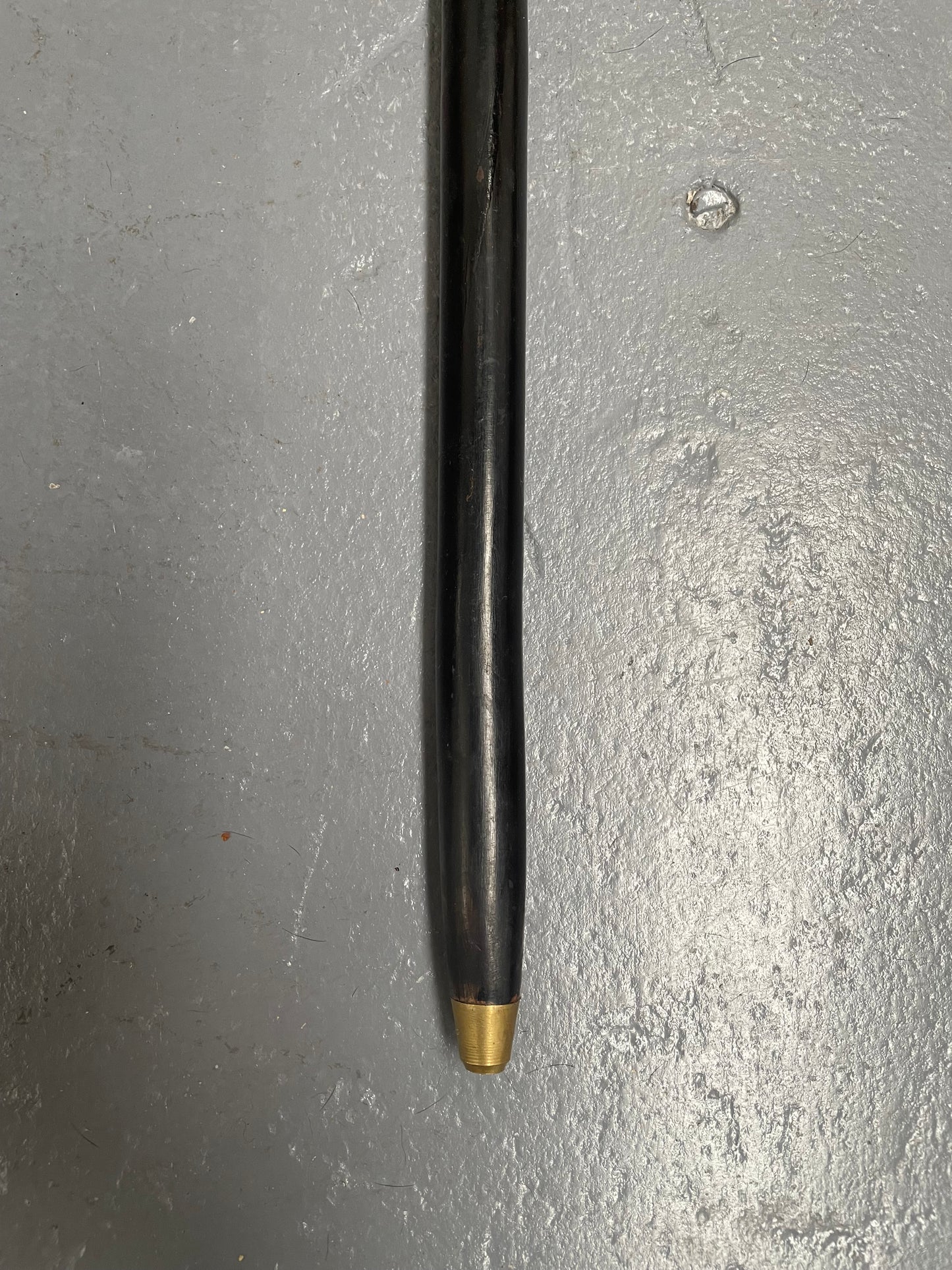 Vintage Walking Stick With Bone Handle & Ebony Wood