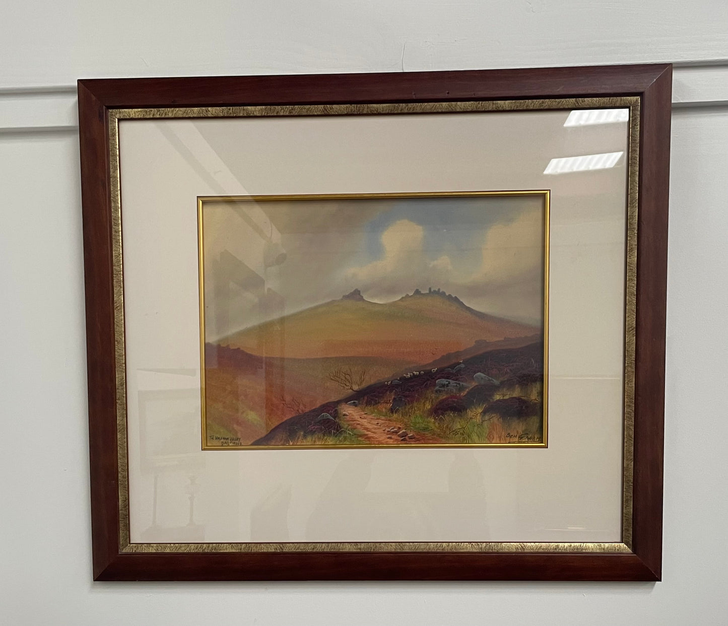 Fabulous Framed Original Watercolour