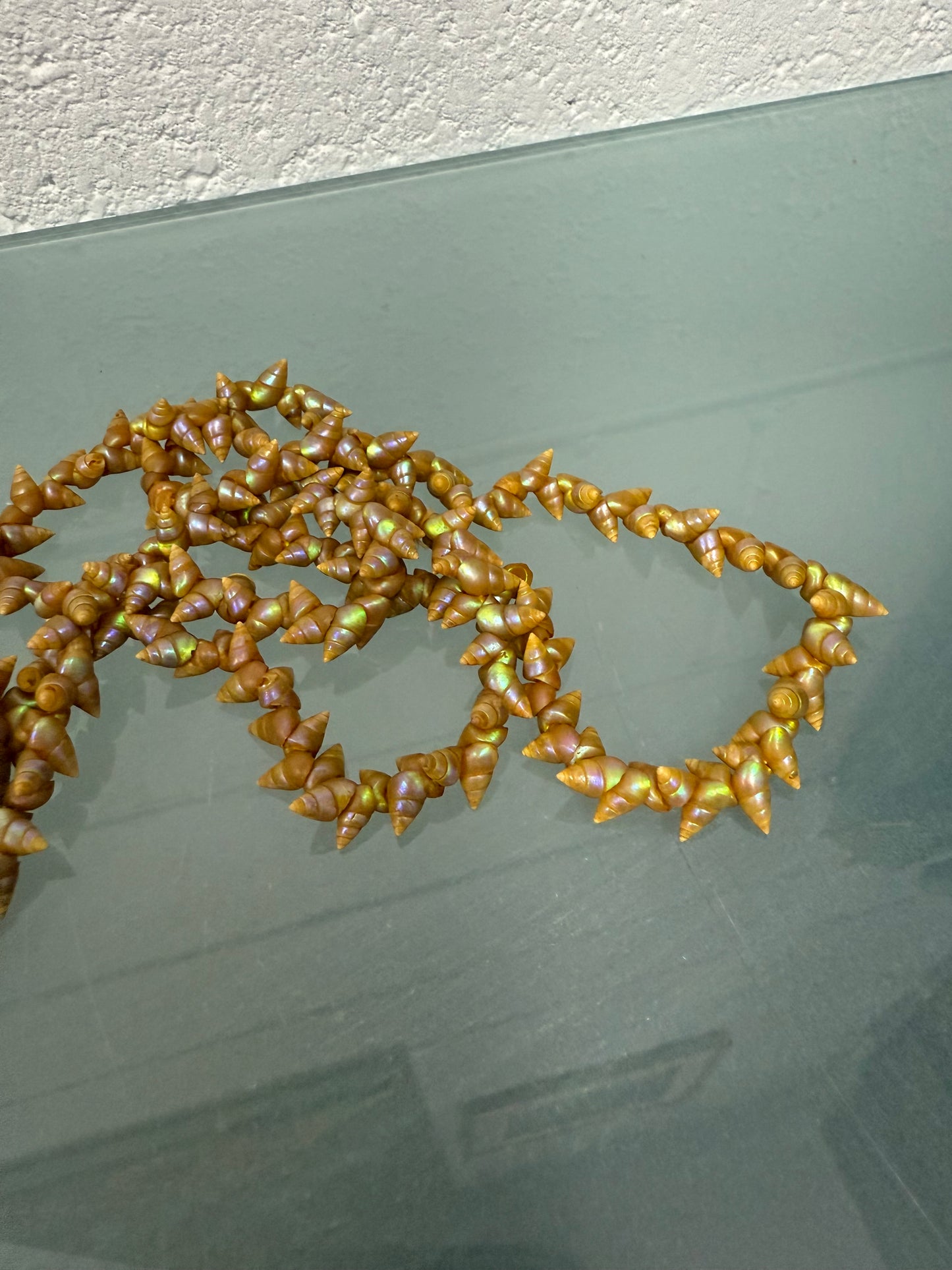 Long Vintage Tasmanian Aboriginal Rainbow Kelp Maireener Necklace