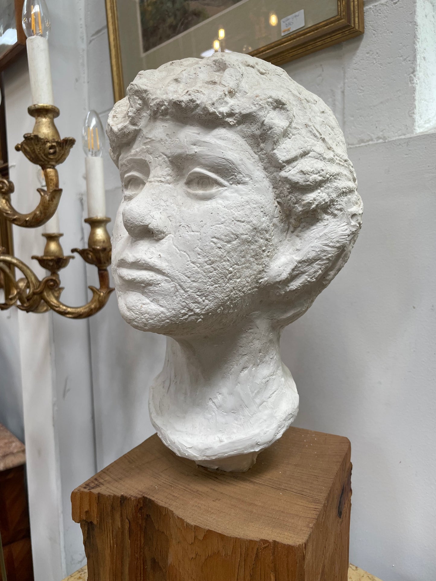 Young Lady Bust - By Hans Van Vlodrop