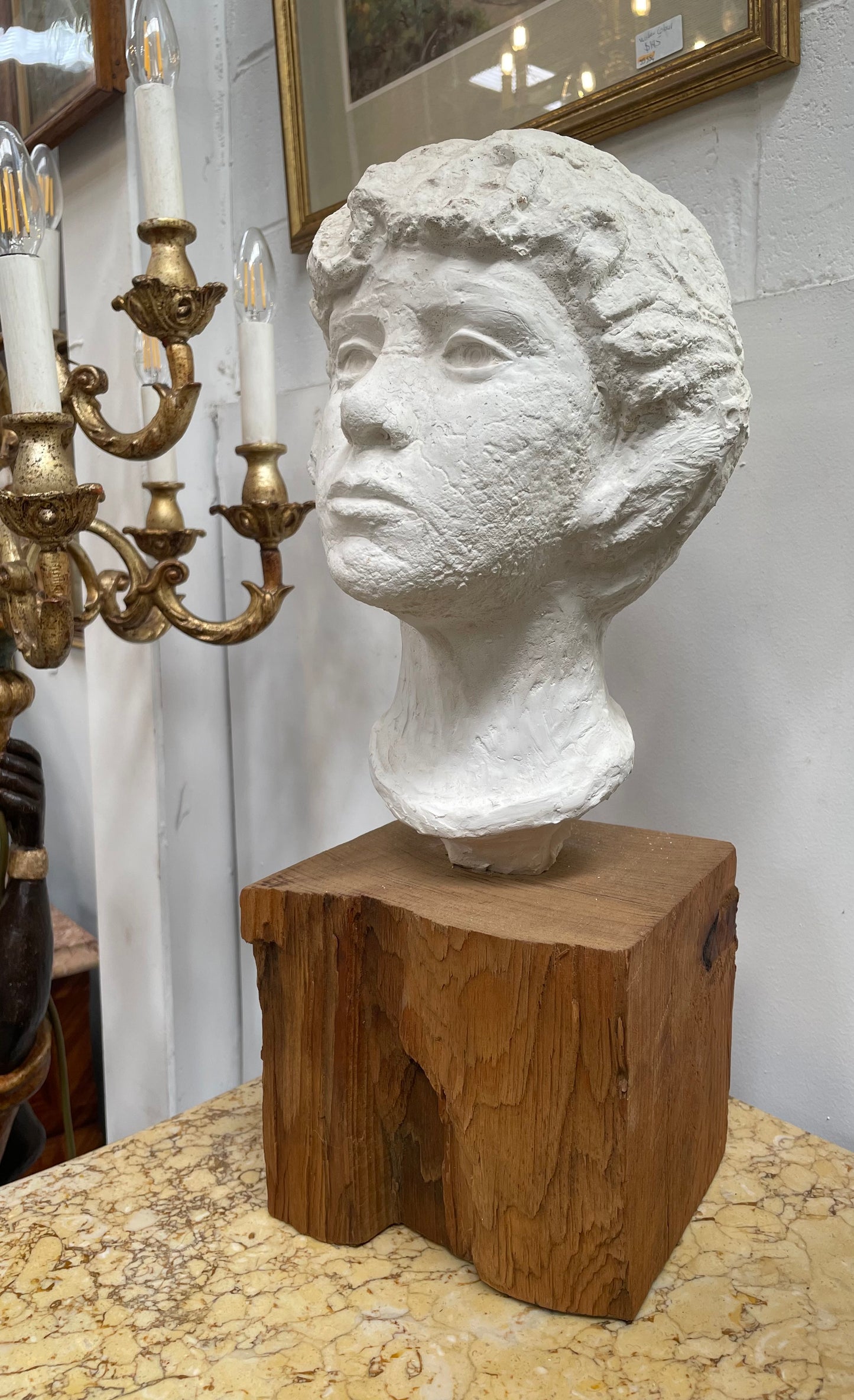 Young Lady Bust - By Hans Van Vlodrop