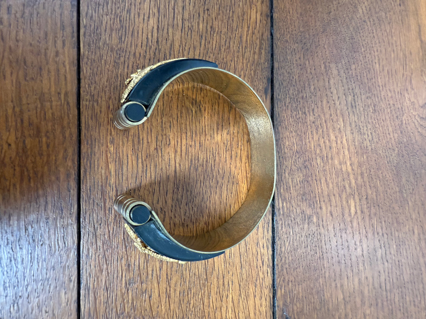 Art Deco Jean Painleve Seahorse Suite - Bracelet & Dress Clips