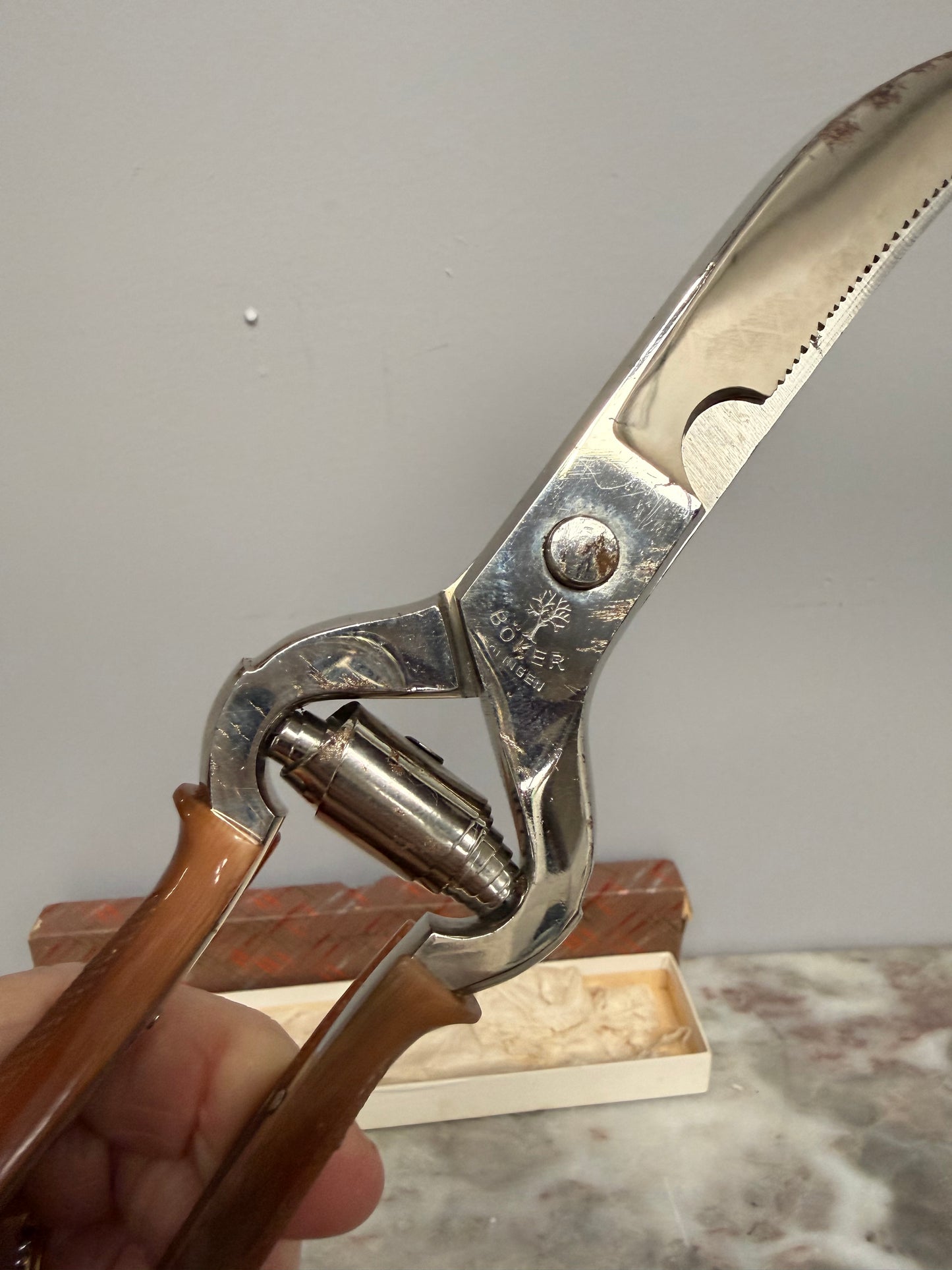 Vintage German "Solingen" Poultry Shears