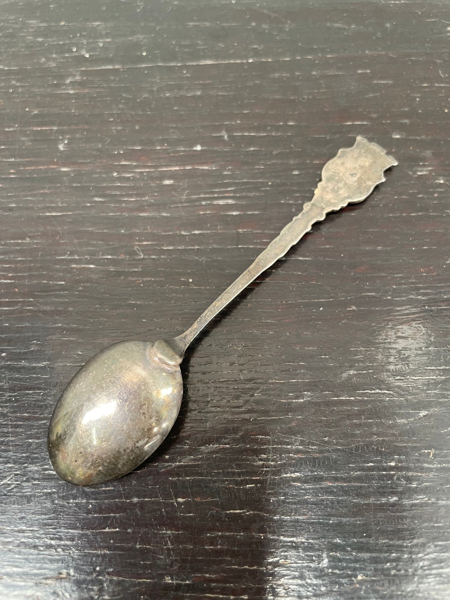 Antique Sydney & Sydney Harbor Enamel & Silver Spoon