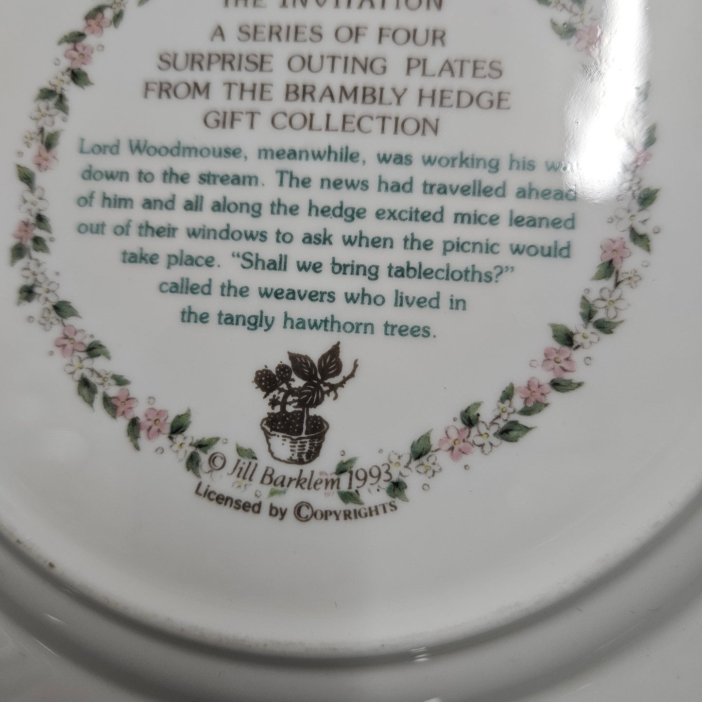 Vintage Royal Doulton Brambly Hedge "The Invitation" Plate Made in England