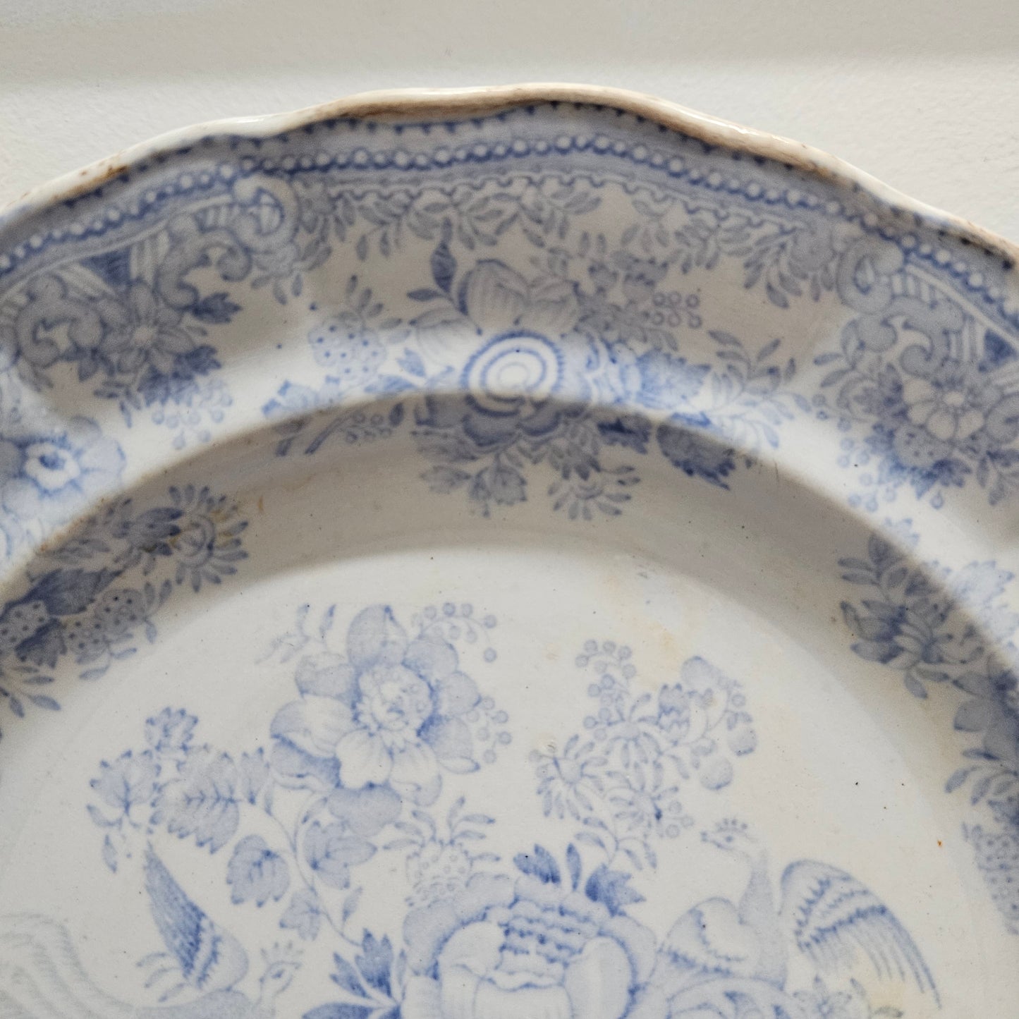Antique Asiatic Pheasants Display Plate