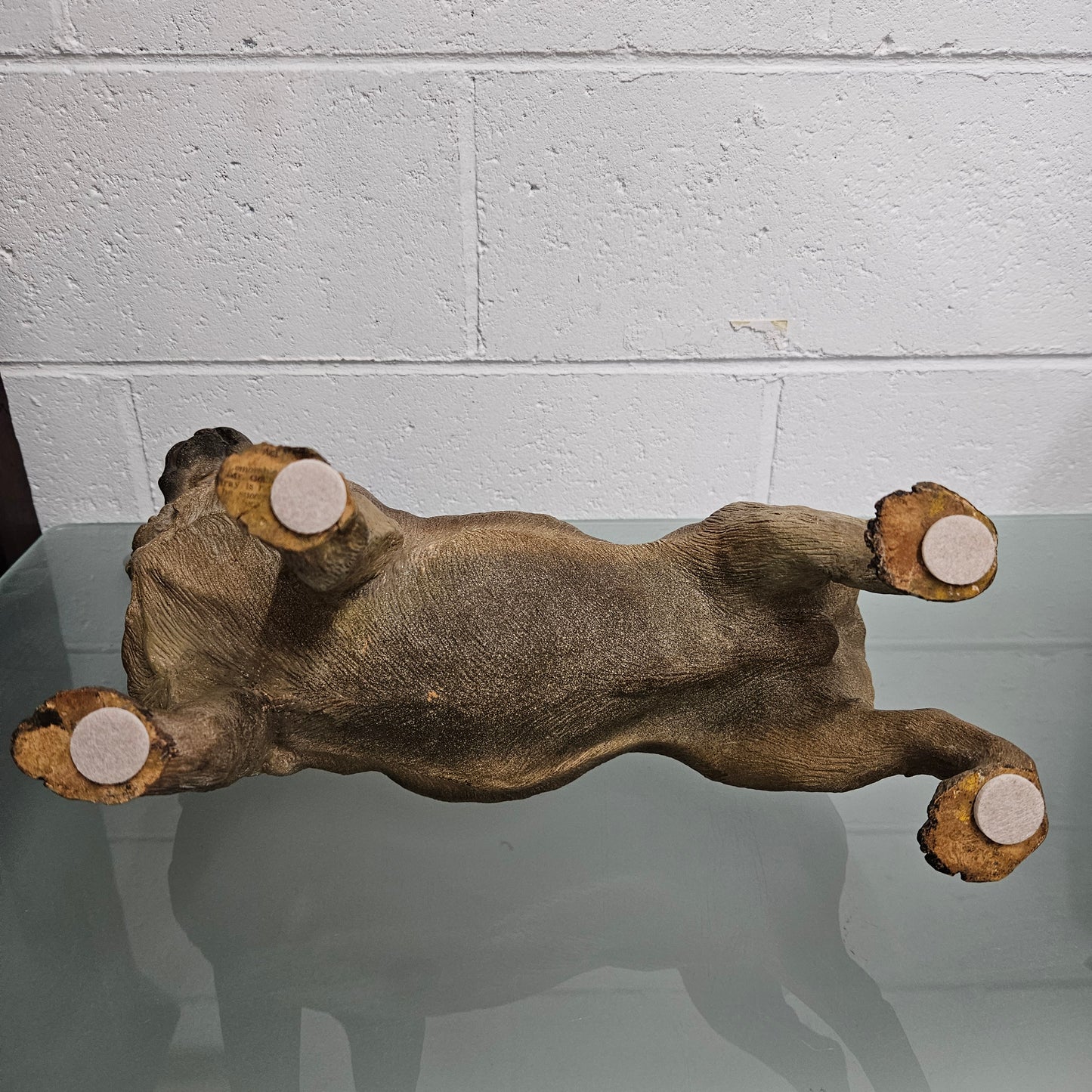 Rare Australian Large Cold Painted Terracotta Pug Statue