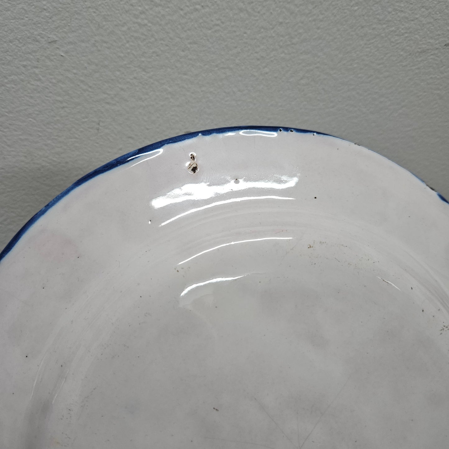 Large 19th Century French Majolica Hand Painted Plate