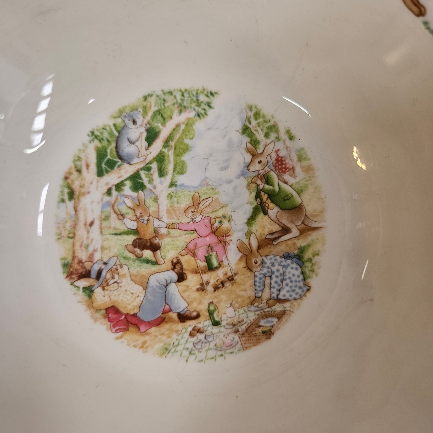 Vintage Royal Doulton Australian Bush Picnic Cereal Bowl.