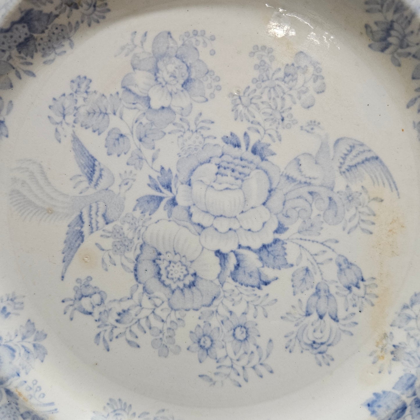 Antique Asiatic Pheasants Display Plate