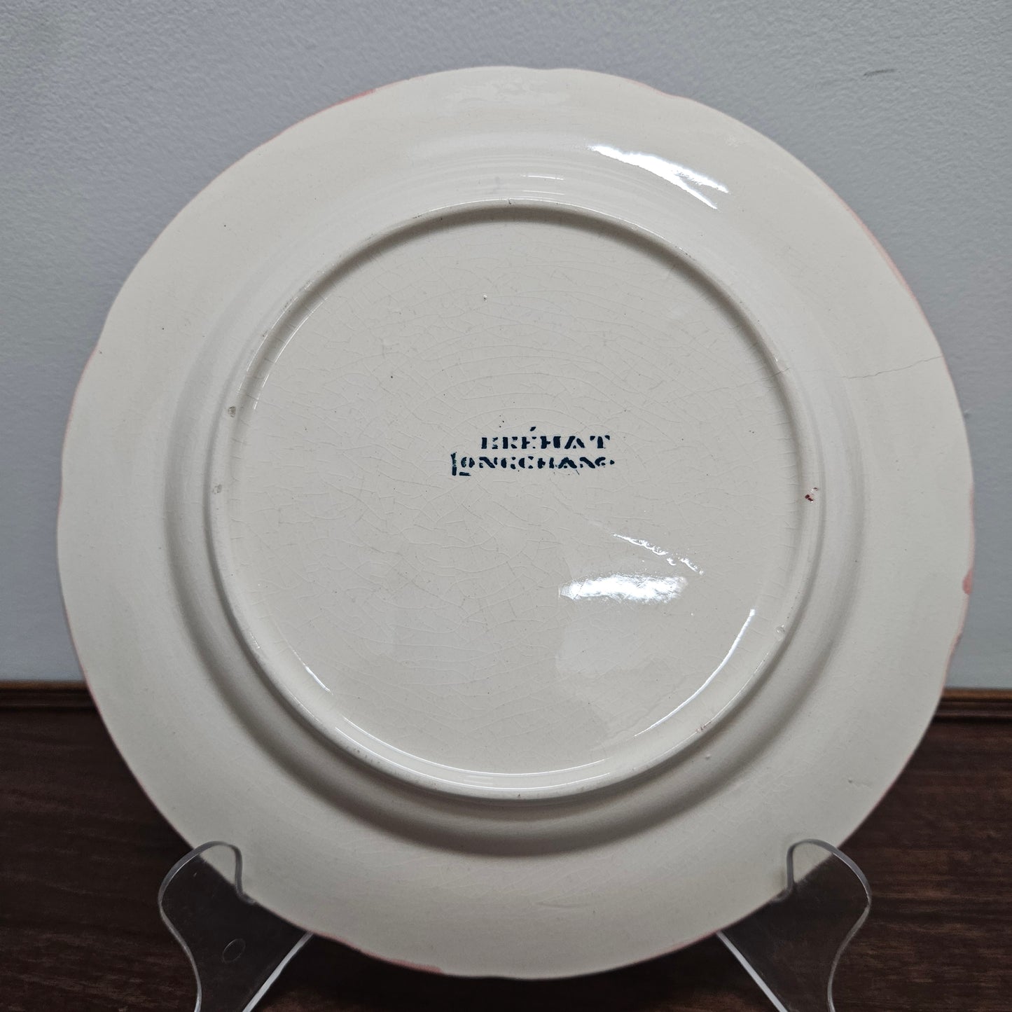 Longchamp French Antique Hand-Painted Ironstone Asparagus Plate