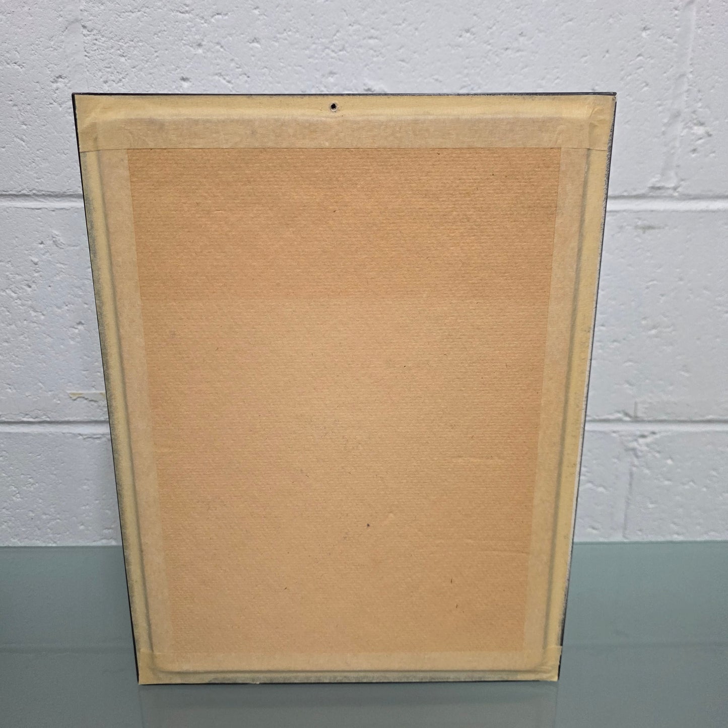 Vintage Butterfly Framed Taxidermy