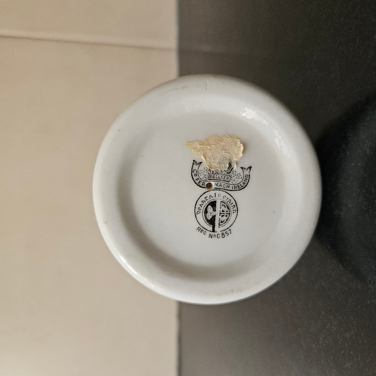 Stunning Belleek Harp with Shamrock Pattern