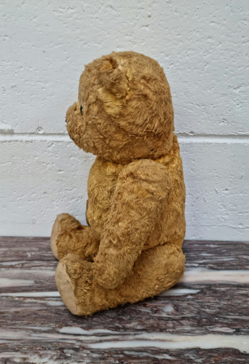 Part of a huge collection is this Beautiful old vintage teddy bear in original condition. The growler is not working but his just gorgeous anyway.