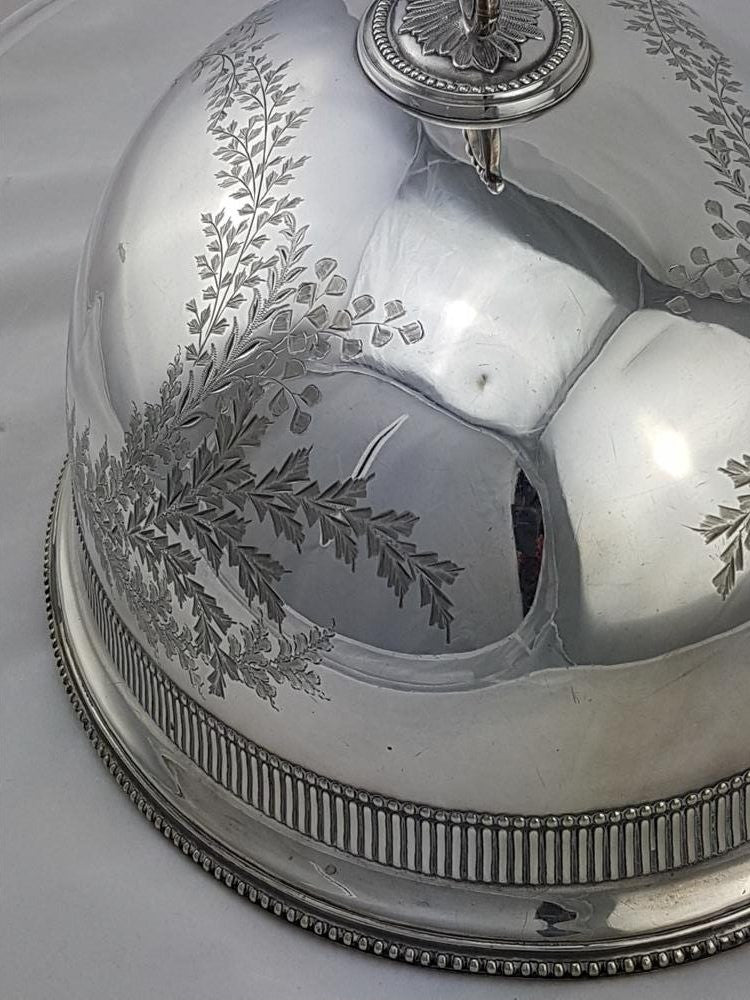 Victorian Meat Cover