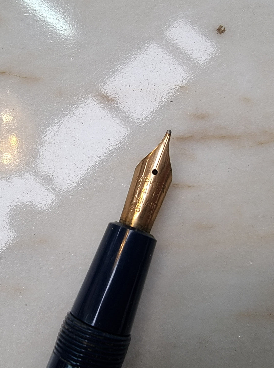 Beautiful Vintage Pierre Cardin pen and fountain pen set.
