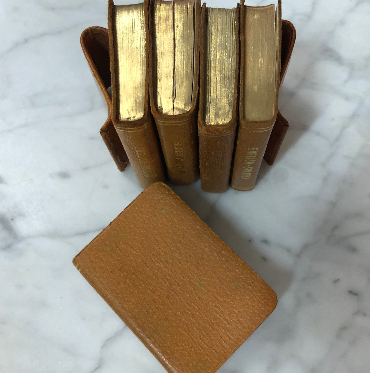 Vintage Pigskin Set Of Five Dictionaries-Translation Books
