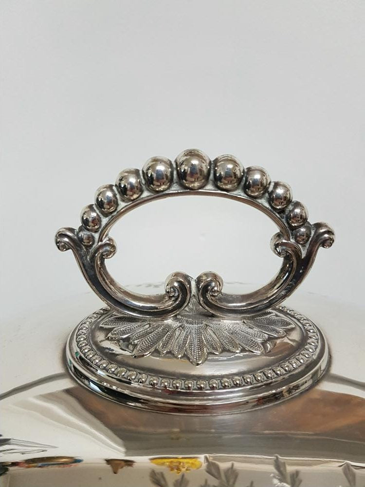 Large Victorian Meat Cover