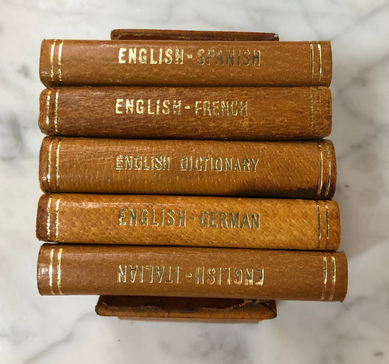 Vintage Pigskin Set Of Five Dictionaries-Translation Books