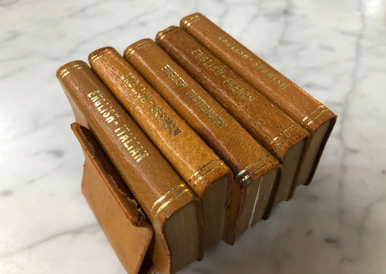 Vintage Pigskin Set Of Five Dictionaries-Translation Books
