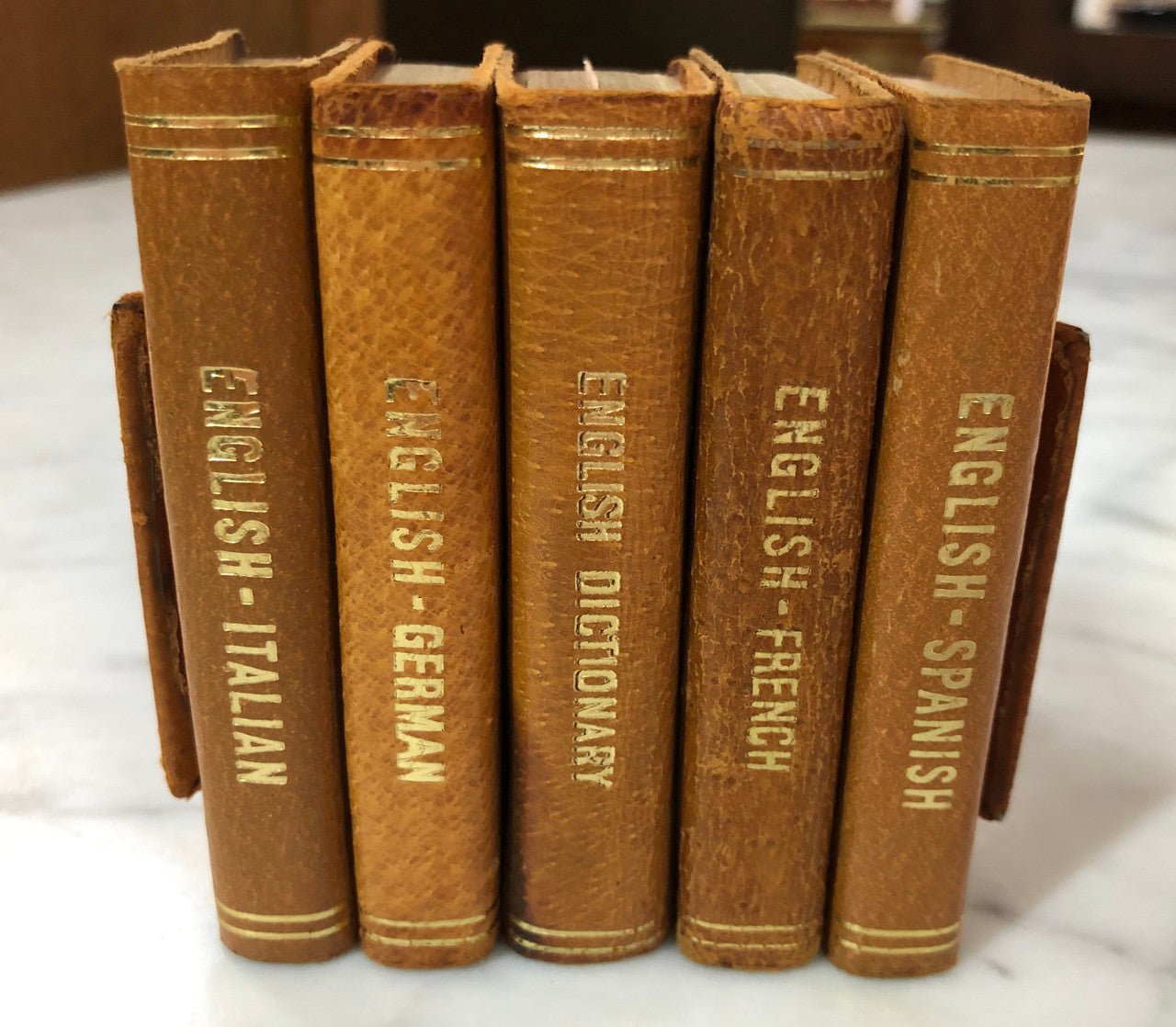 Vintage Pigskin Set Of Five Dictionaries-Translation Books