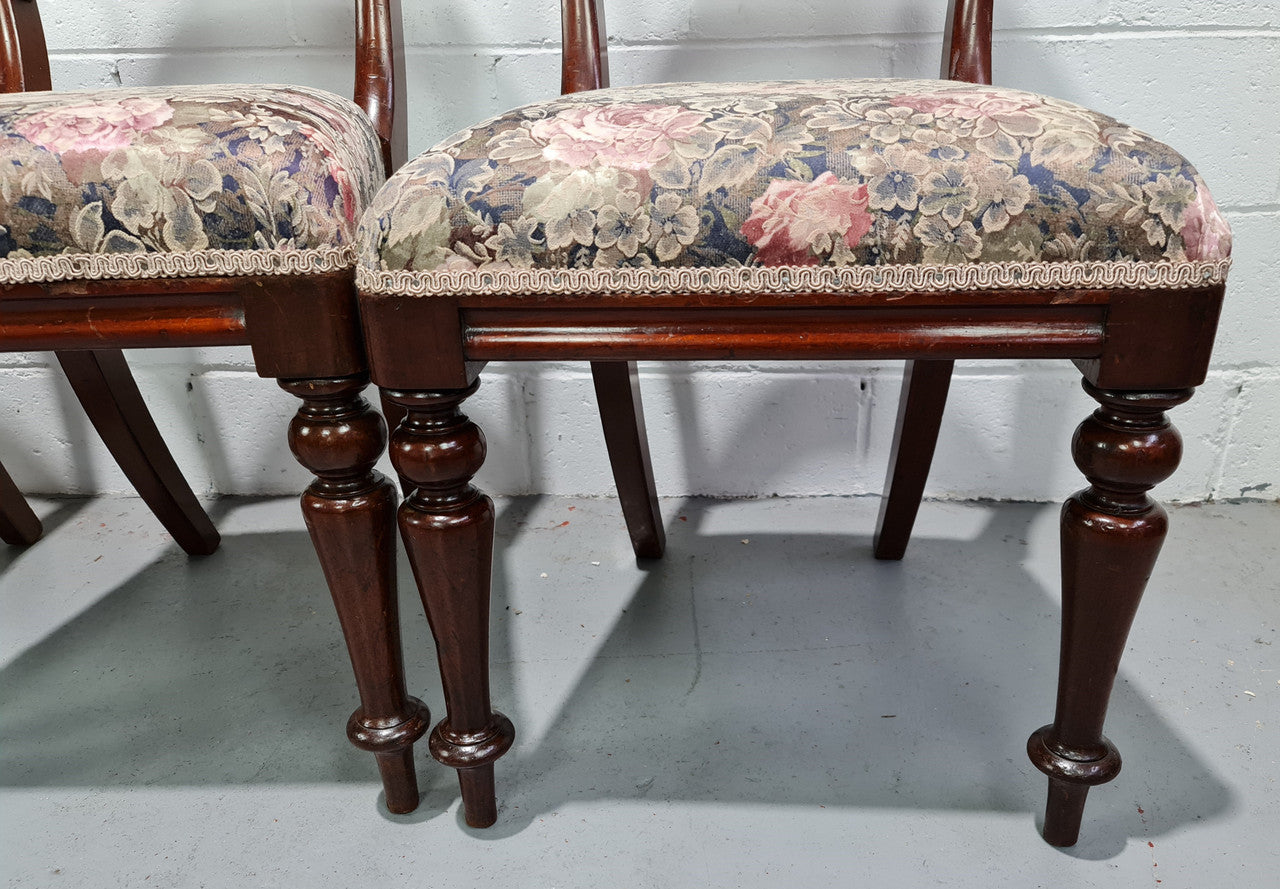 Set of Four Victorian upholstered cedar balloon back chairs. In good original detailewd condition, fabric is also in good used condition.