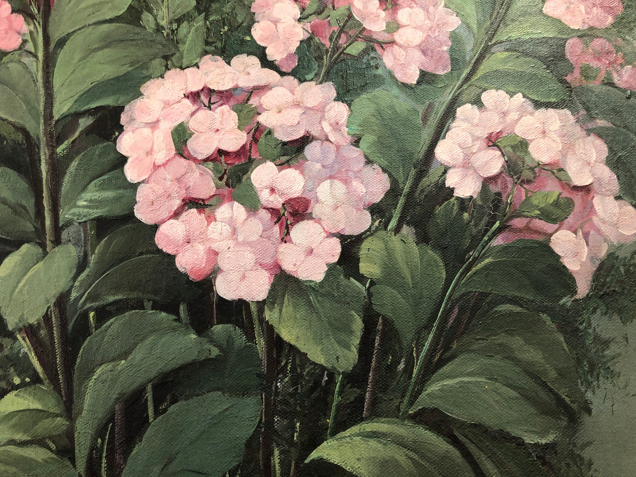 Lovely signed French framed oil on canvas painting of Hydrangeas in a lovely gilt frame. It is in good original condition.