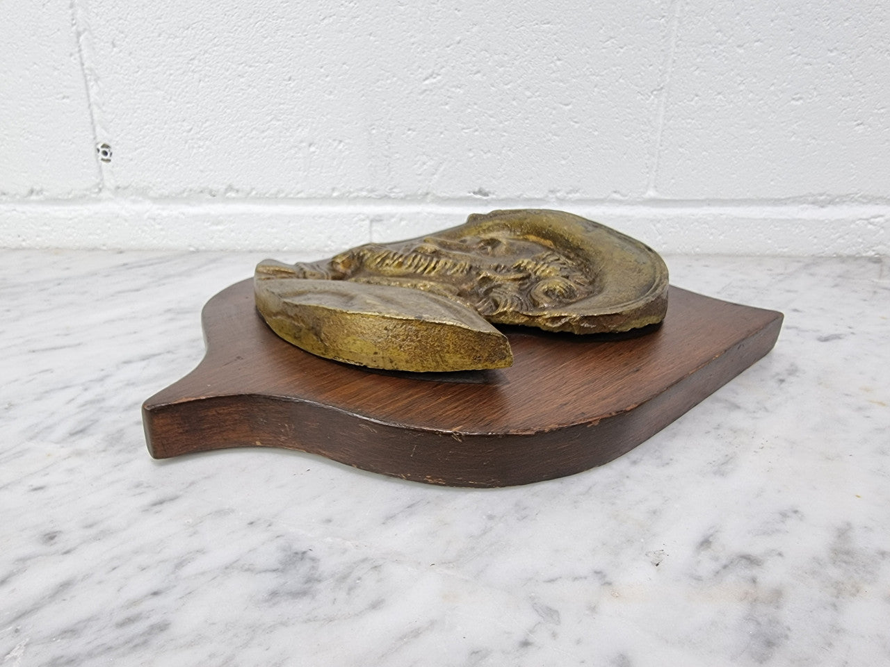 Antique Bronze plaque of a man plaque on a Mahogany panel. In good original detailed condition.