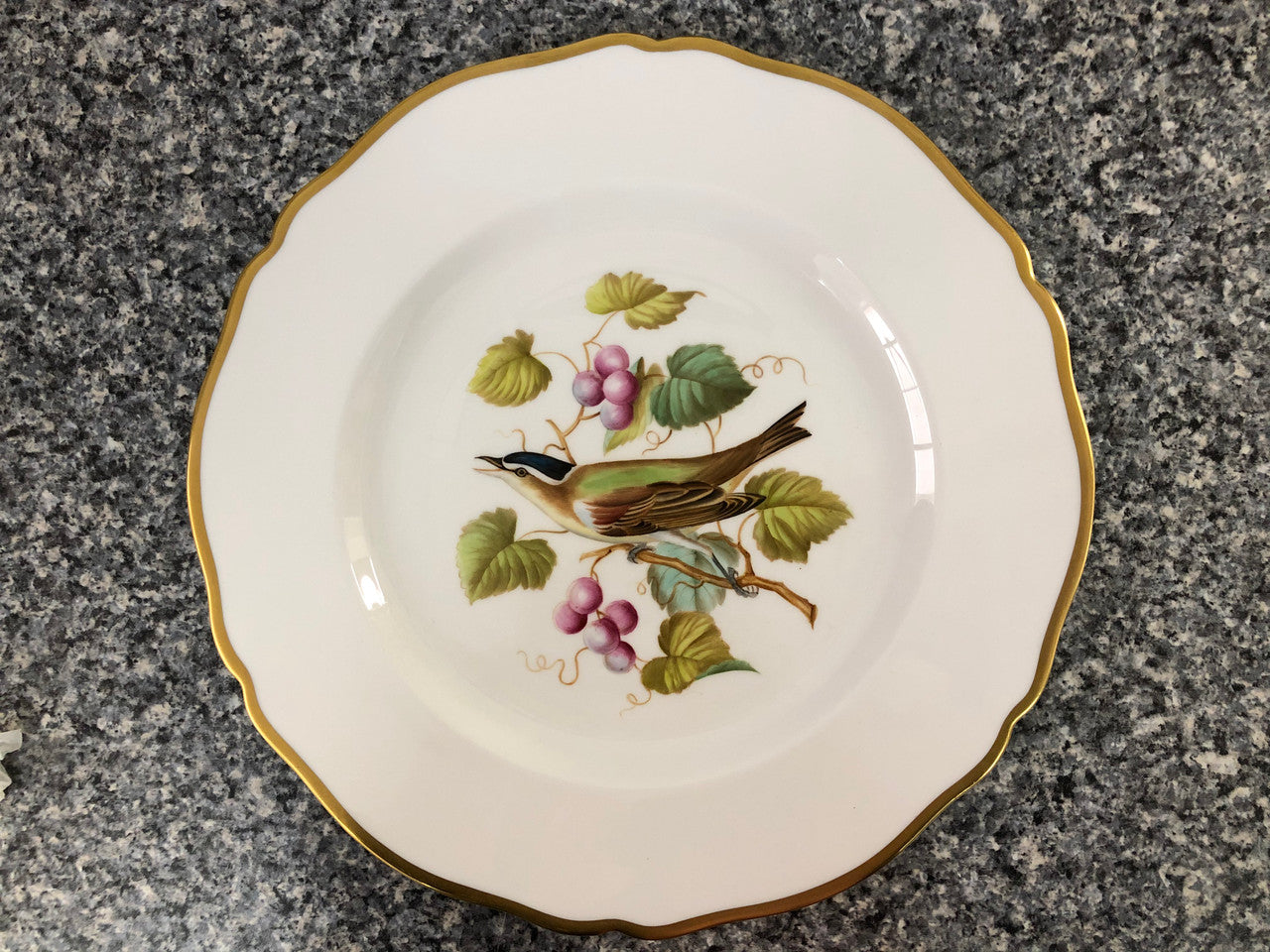 Moonee Ponds Antiques Spode Audubon Bird Plate "Red-eyed Vireo"