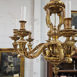 Impressive Gilt Bronze Napoleon III Style Chandelier | Antique & Vintage | Moonee Ponds Antiques | Australia Wide Delivery