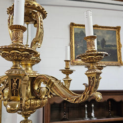 Impressive Gilt Bronze Napoleon III Style Chandelier | Antique & Vintage | Moonee Ponds Antiques | Australia Wide Delivery
