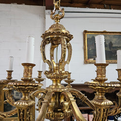 Impressive Gilt Bronze Napoleon III Style Chandelier | Antique & Vintage | Moonee Ponds Antiques | Australia Wide Delivery