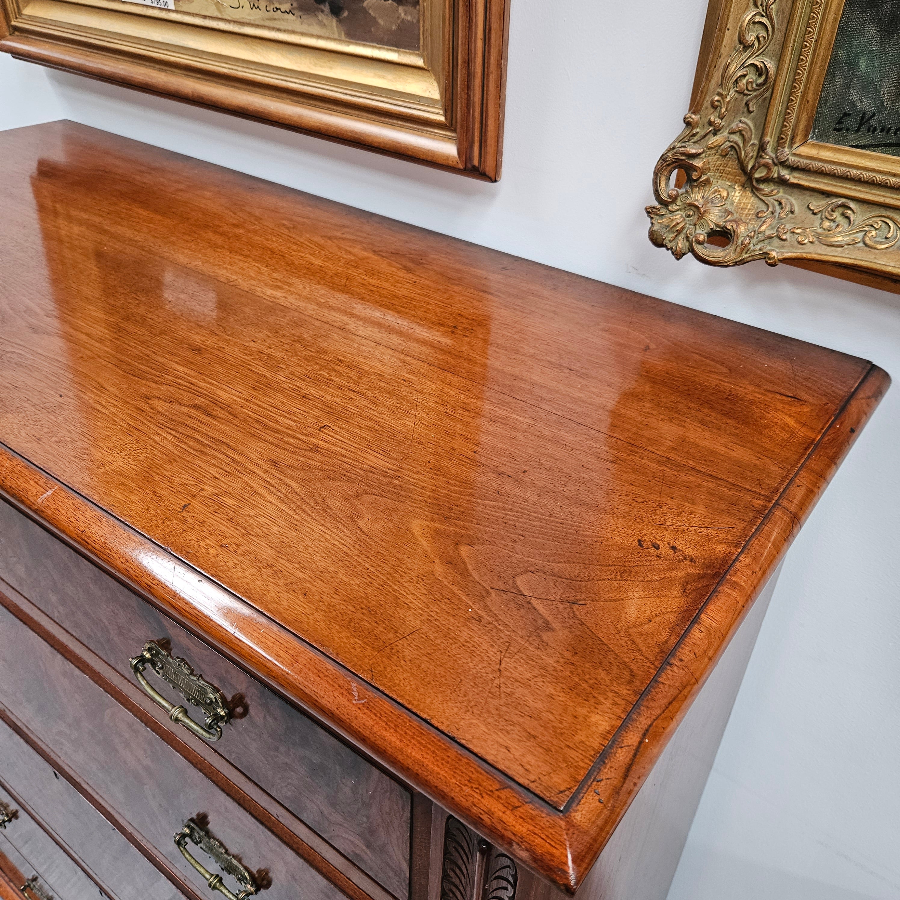 Australian Walnut & Burr Walnut Tall Drawers | Antique & Vintage | Moonee Ponds Antiques | Australia Wide Delivery