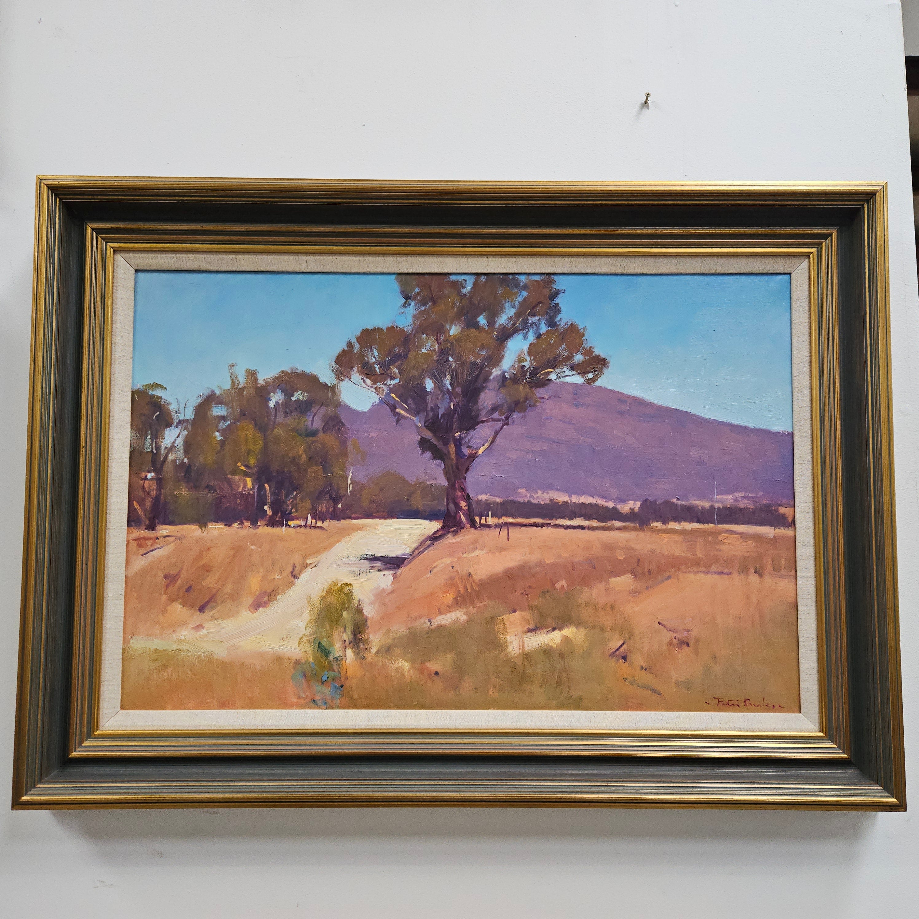 Framed Australian Oil on Canvas Painting Signed by Peter Smales