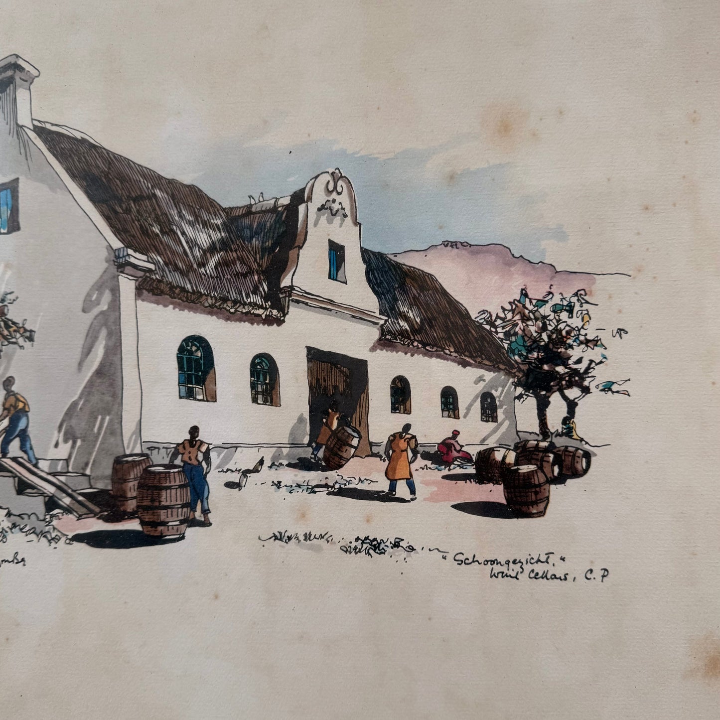 Framed Mixed Media "Schoongezicht Wine Cellars Cape Province" By Philip Bawcombe (British and South Africa Philip William Bawcombe 1906 - 2000)
