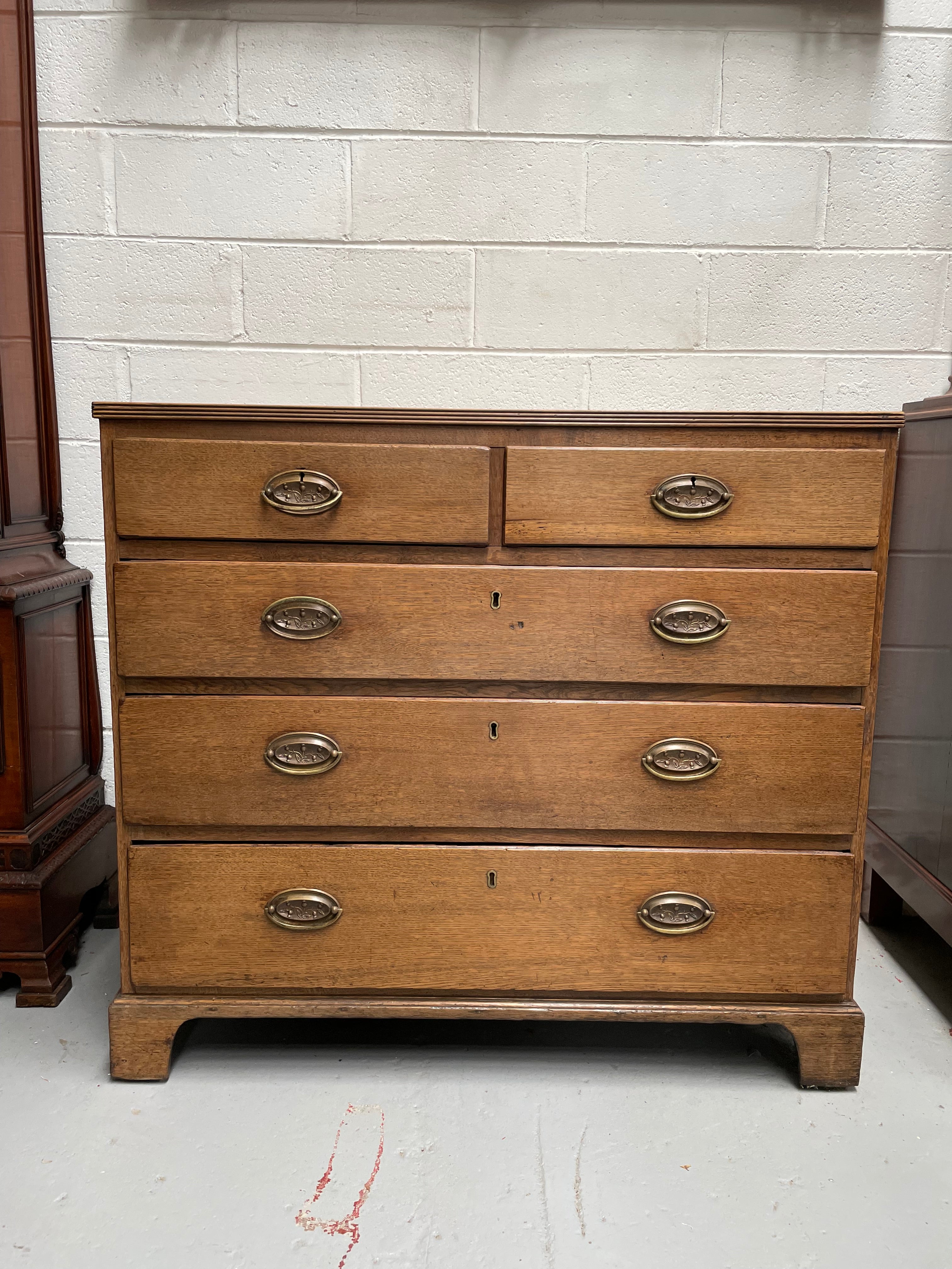 Georgian Period Chest of Drawers C:1800 | Antique & Vintage | Moonee Ponds Antiques | Australia Wide Delivery