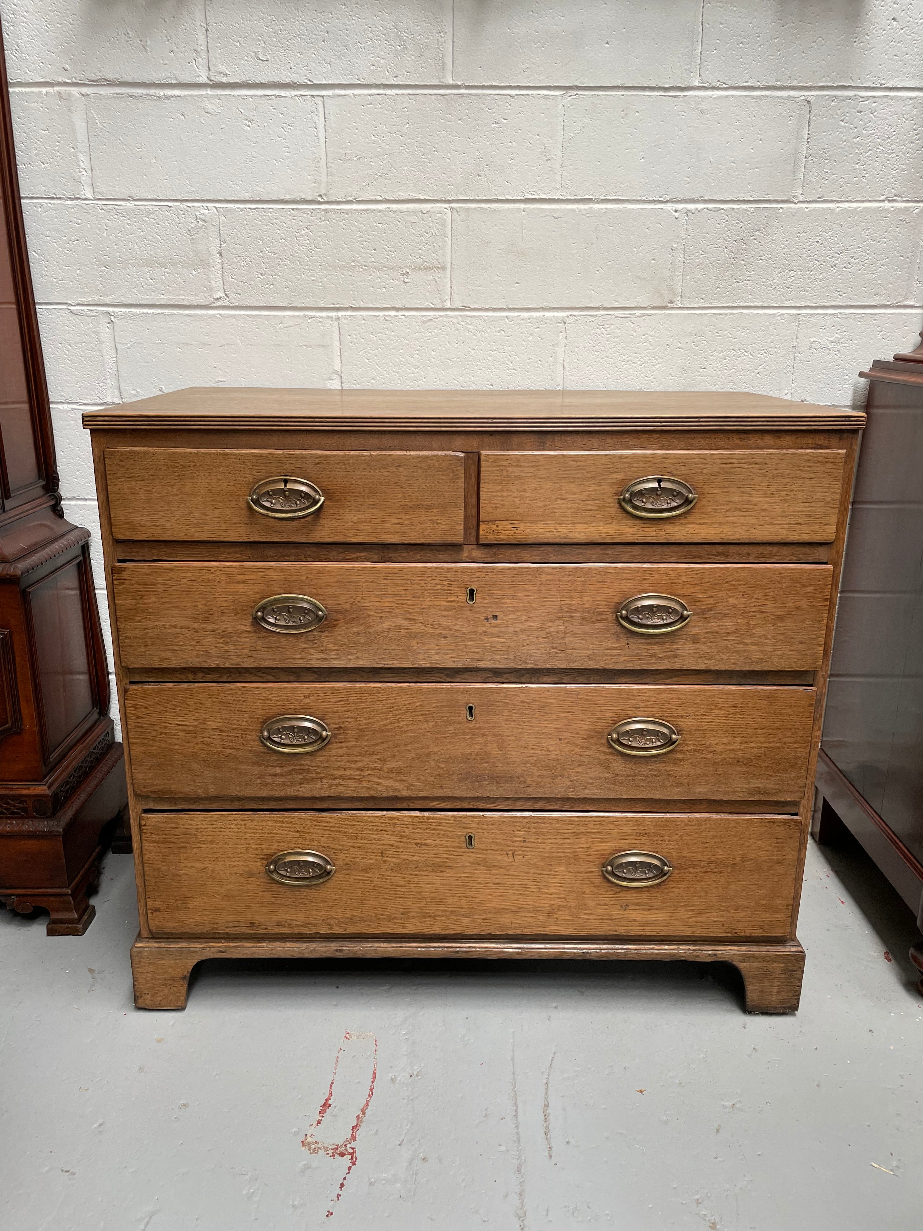 Georgian Period Chest of Drawers C:1800 | Antique & Vintage | Moonee Ponds Antiques | Australia Wide Delivery
