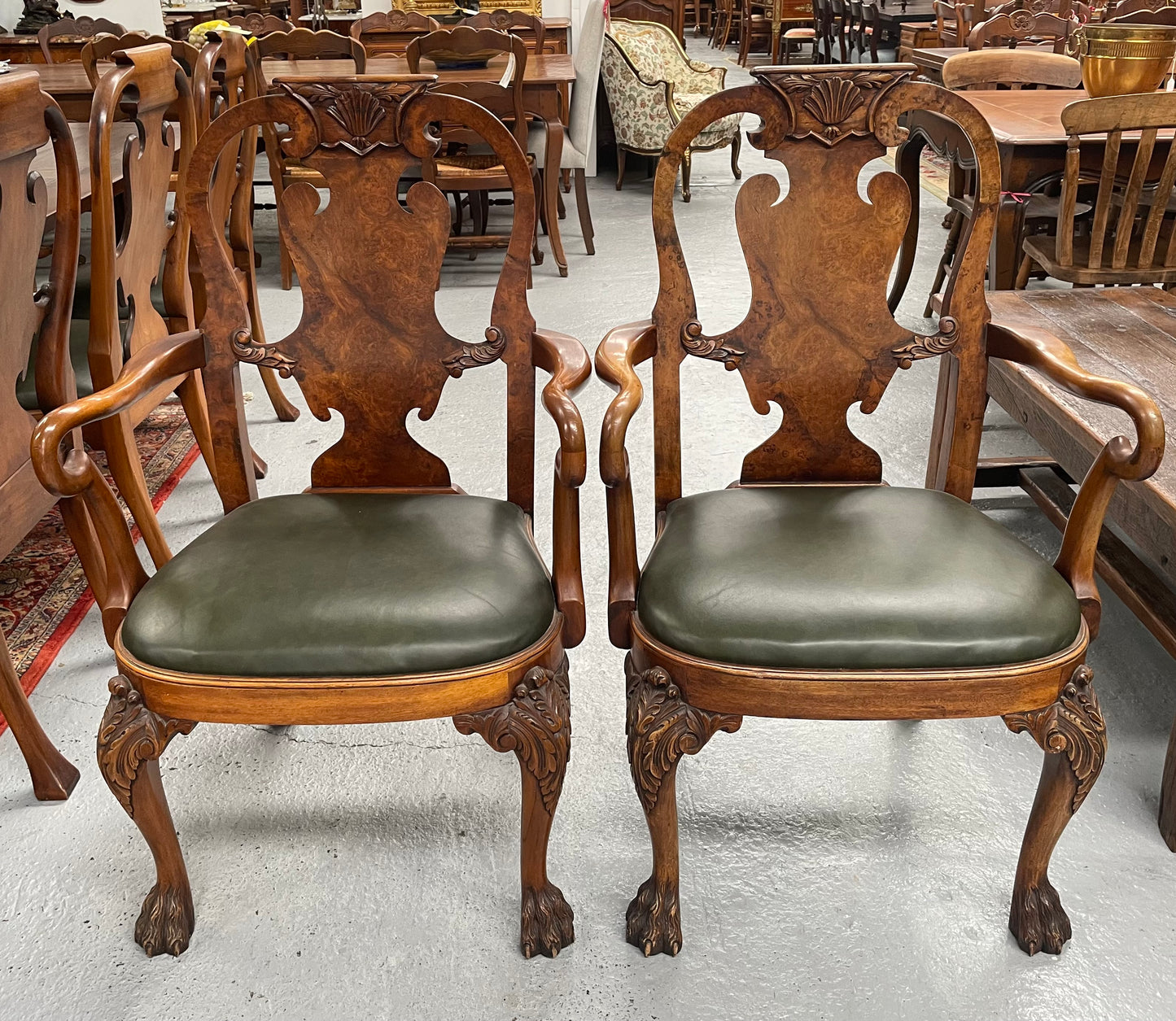 Sensational set of 8 Georgian Style Dining Chairs