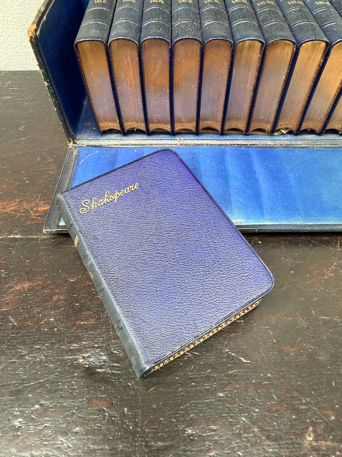 Rare Set of the Complete Works of Shakespeare 12 Volumes in Leather Presentation Case