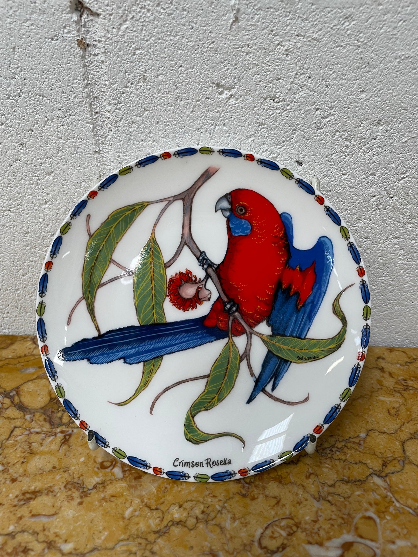 Attractive Display Plate Featuring a Parrot