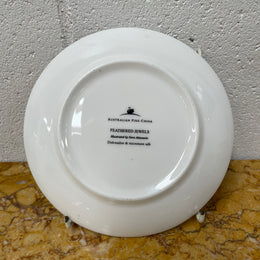 Attractive Display Plate Featuring a Parrot