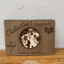 Vintage Valentines Snapshots Photographs Booklet